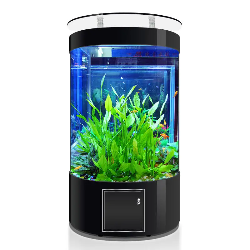 Aquarium en verre debout au sol semi-transparent, salon commun, bel aquarium semi-transparent