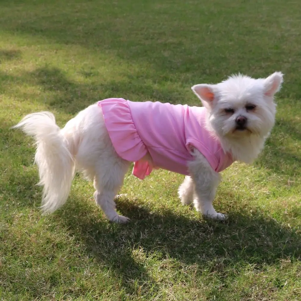 

Sleeveless Pet Summer Clothes Breathable Soft Cat Skirt Thin Design Fashionable Pet Princess Dresses For Puppy Small Animal