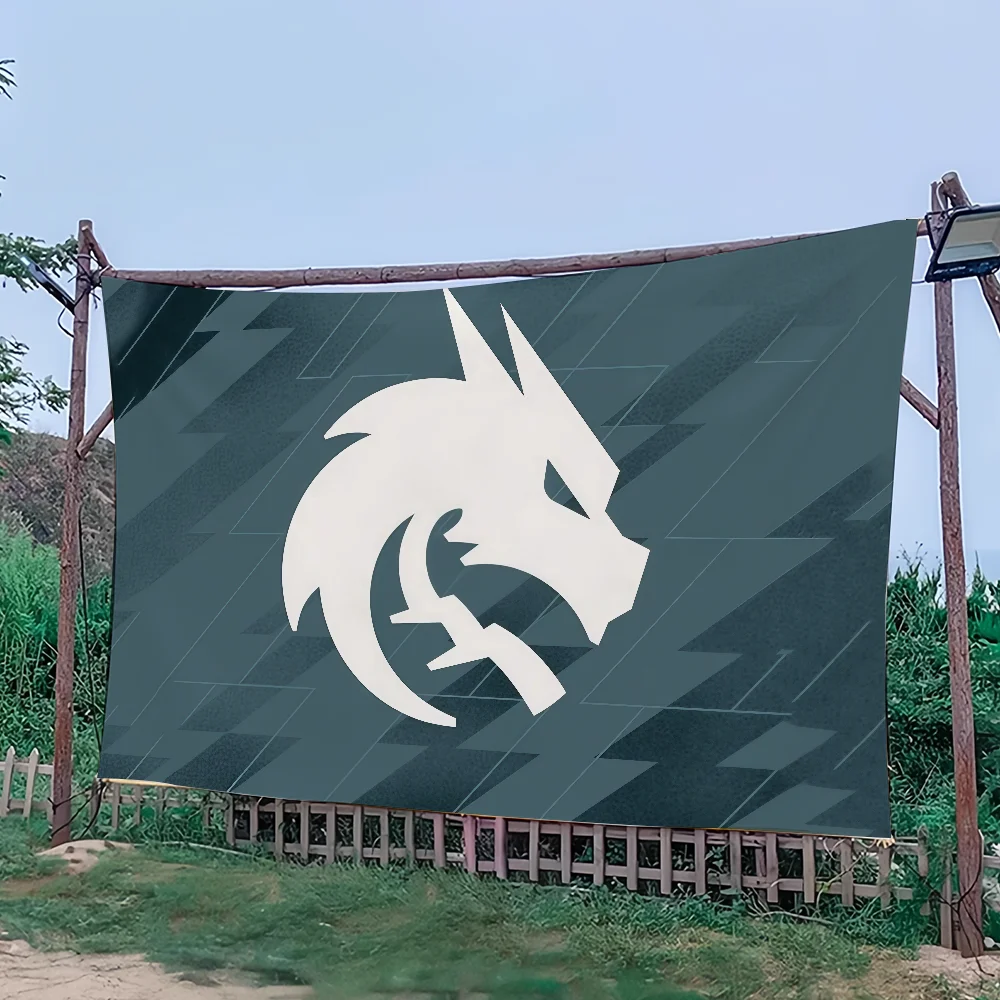 flag Spirit Art Cs2 Sci Fi Room Game Home Decor Team Wall Mount Home Decor Banner