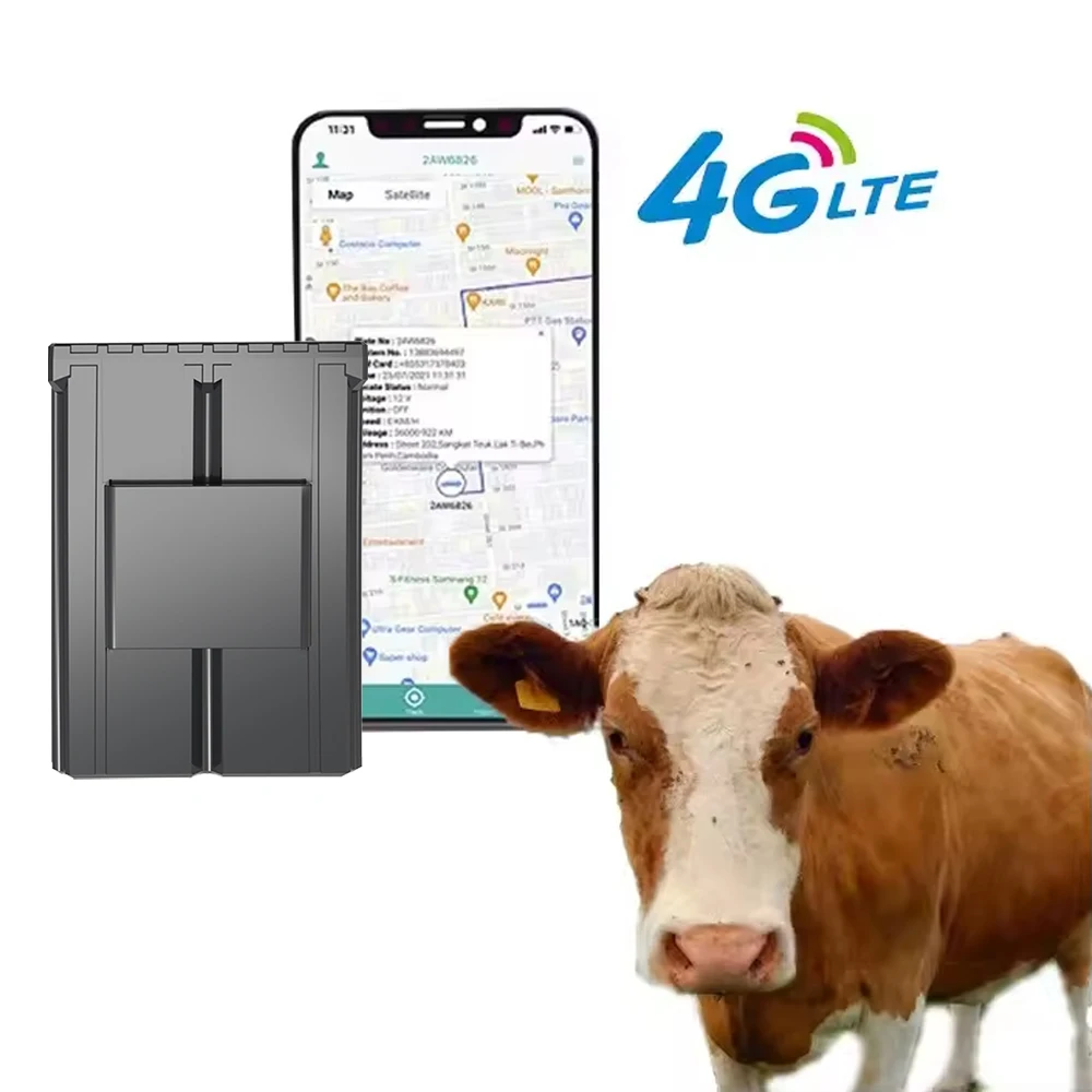 Custom Ear Tag Gps Cattle Trackers Sheep Cow  Camel Animal 4g Rtk Mini Gps Locator Solar Panel Tracking Device Electronic Fence