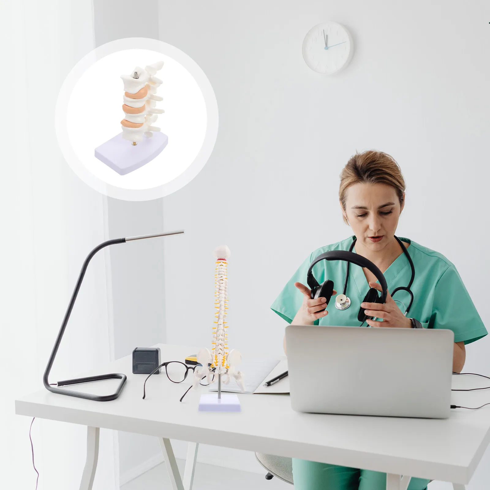 

1 шт. Гибкая модель позвоночника человека для медицинского обучения и практики, анатомическая модель хвостового костя из ПВХ