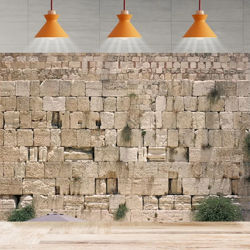 Jerusalem Cityscape Photo Booth Photography Backdrop Western Wall David Background Banner For Jewish Hashanah Home Party Decor