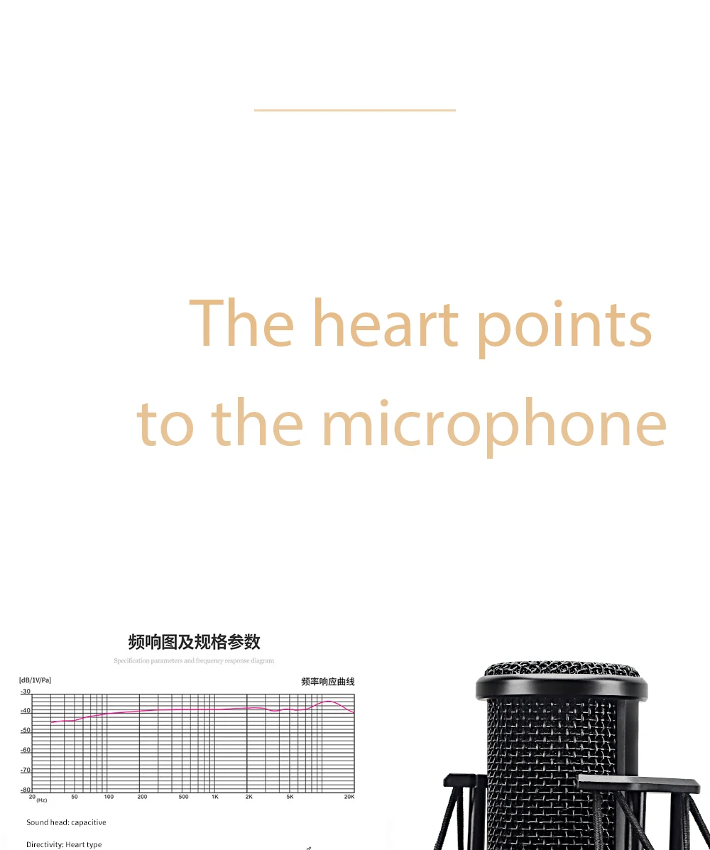 Микрофон HISINGWELL S-300, конденсаторный профессиональный микрофон для домашней студийной записи, микрофон для компьютерной игровой звуковой карты