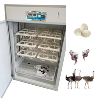 36 Ostrich Egg Incubator Electric Digital Controlled In China Automatic Egg Turning