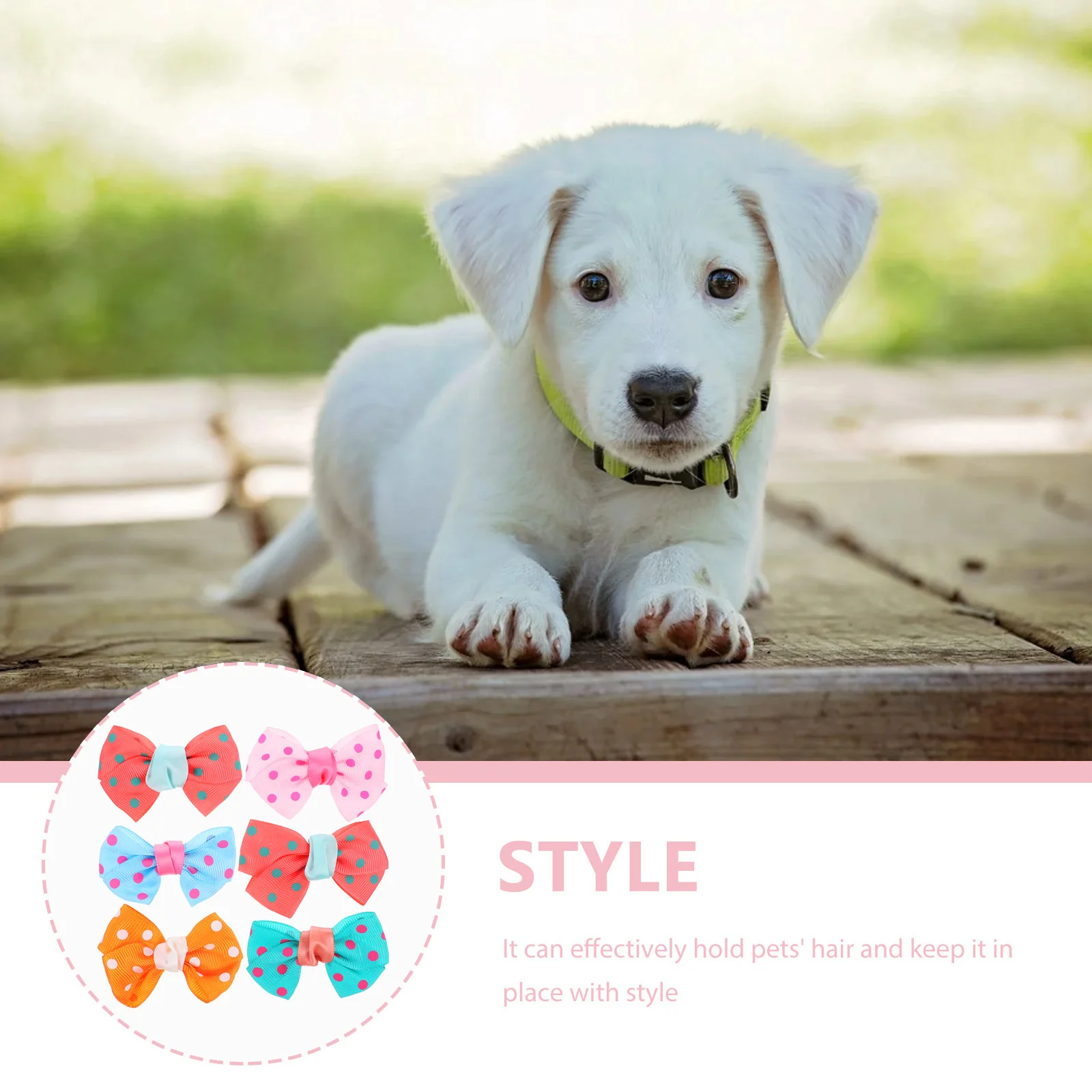 

6Pcs Bowknot Pet Hair Clips Stylish Dot Pattern Hairpin for Dogs Secure Fastening Barrette Daily Wear Eye Catching Design