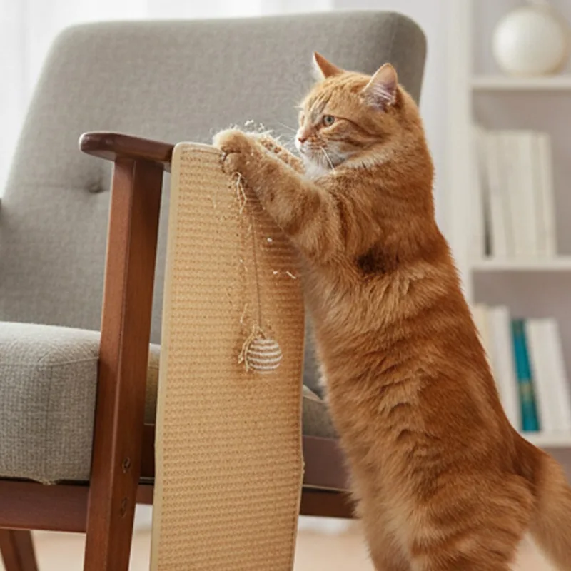 Thumbnail 4 - #81 Latest Pet Training Pads Offers