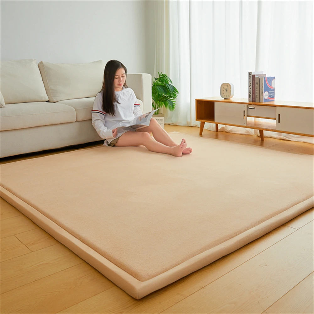 

Tatami Living Room Thicken 2cm Carpet Bedroom Coral Fleece Carpet Window Bedside Children's Room Baby Crawling Home Non-Slip Mat