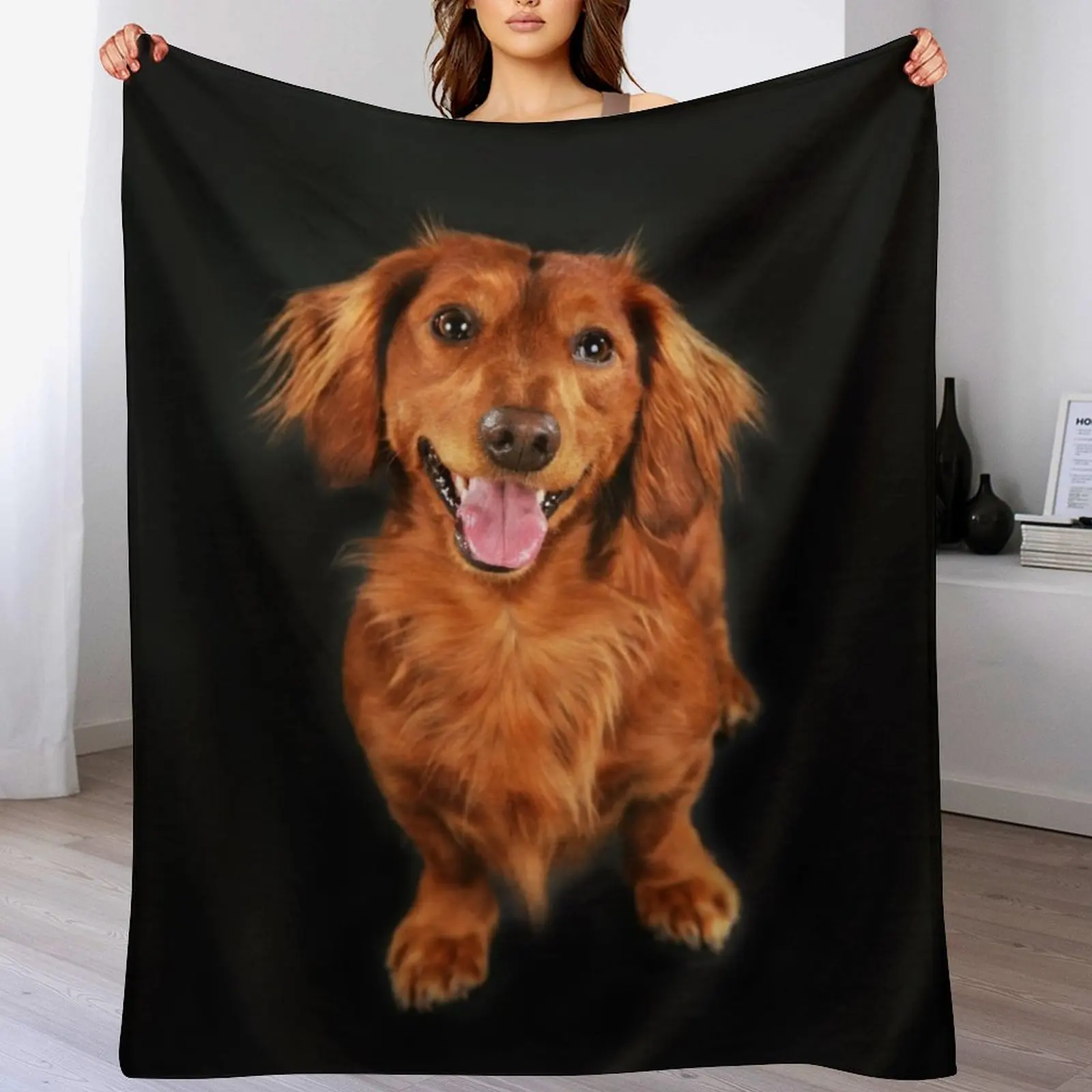 

Dachshund long hair, dachshund looks funny Throw Blanket heavy to sleep Soft Plush Plaid Blankets
