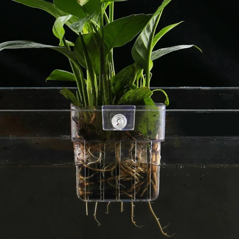

Aquarium Plant Basket Transparent Fish Tank Hanging Decorations Pot Aquatic Plants Holder Aquatic Plant Cup Fish Tank Planter