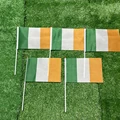 Ireland hand flag