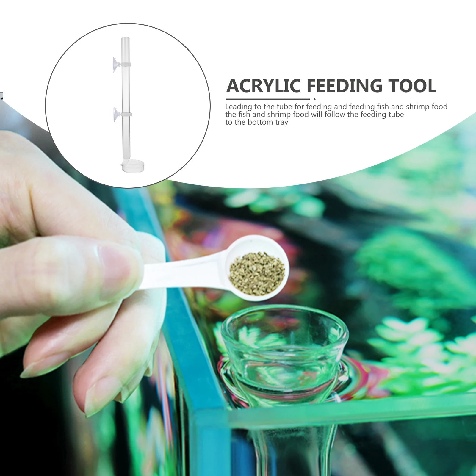 

Fish Tank Feeding Tube Bowl Food Feeder Aquarium Shrimp Transparent Acrylic Tool Durable Suction Cup Strong Most Sizes