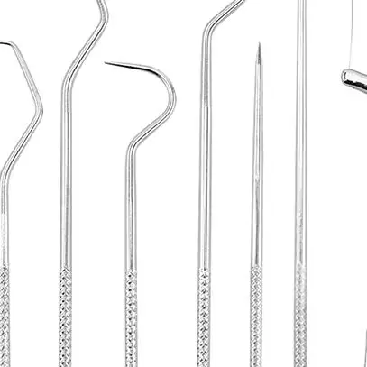 

Seven Pack Stainless Steel Dental Toothpick Set, Teeth Cleaning Tools & Stain Remover Floss Picks