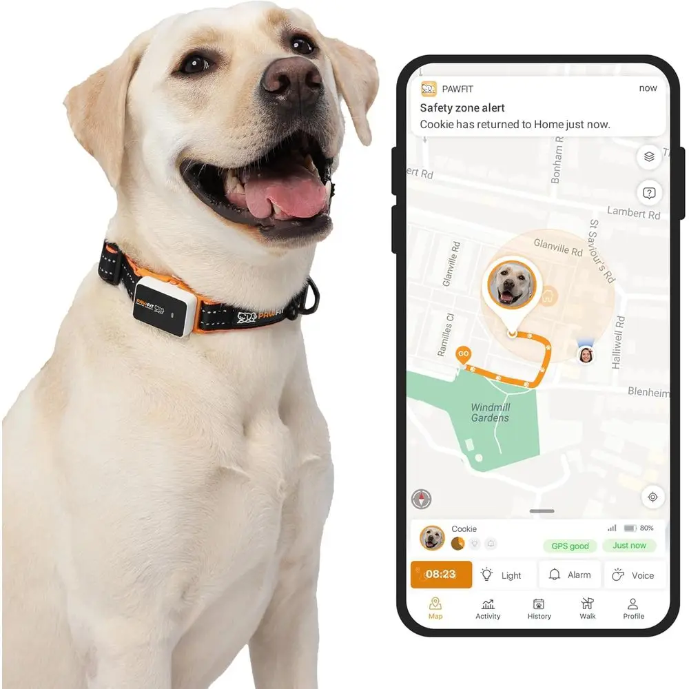 

4G Pet Tracker with Live GPS, Alerts, Waterproof Activity Monitor, Range Indicator, Voice Recall, and 30-Day Free Trial