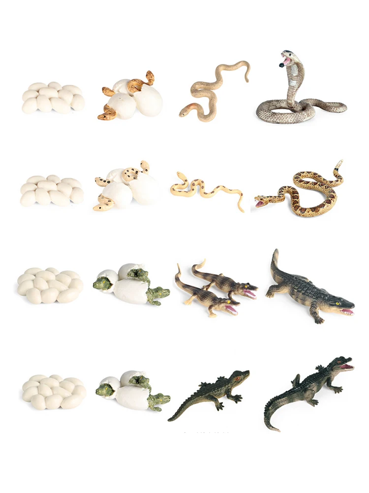 AliExpress XPFigures Life Cycle Animal Figures Set Crocodile Snake Animal Figurines Anime Action Figure Plastic Animals for Children Kids Novel Toys
