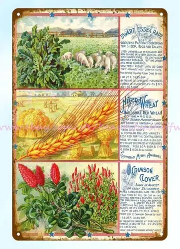 1898 Rapeseed wheat clover Vaughan's Seed Store AUTUMN BULBS PLANTS metal tin