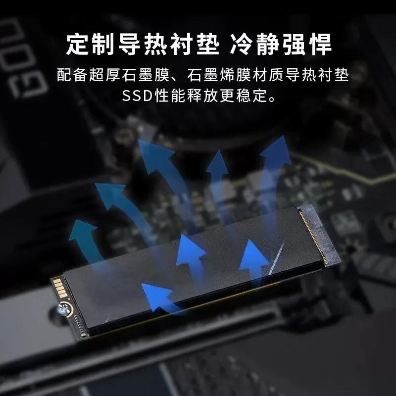 에이서 프레데터 GM7/GM7000용 M.2 NVME SSD 1TB 양쯔 스토리지 PCIESSD2T4T