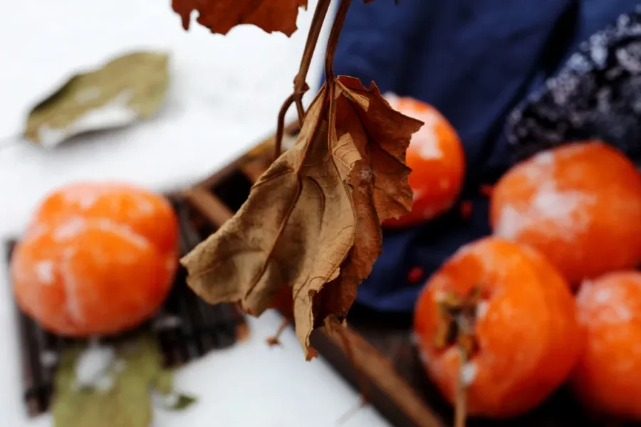 

2.4Ghz 1:18 Remote Control Car 4WD Off-Road Climbing Vehicle, Range Rover Model RC Truck for Kids Adults with 2 Batteries