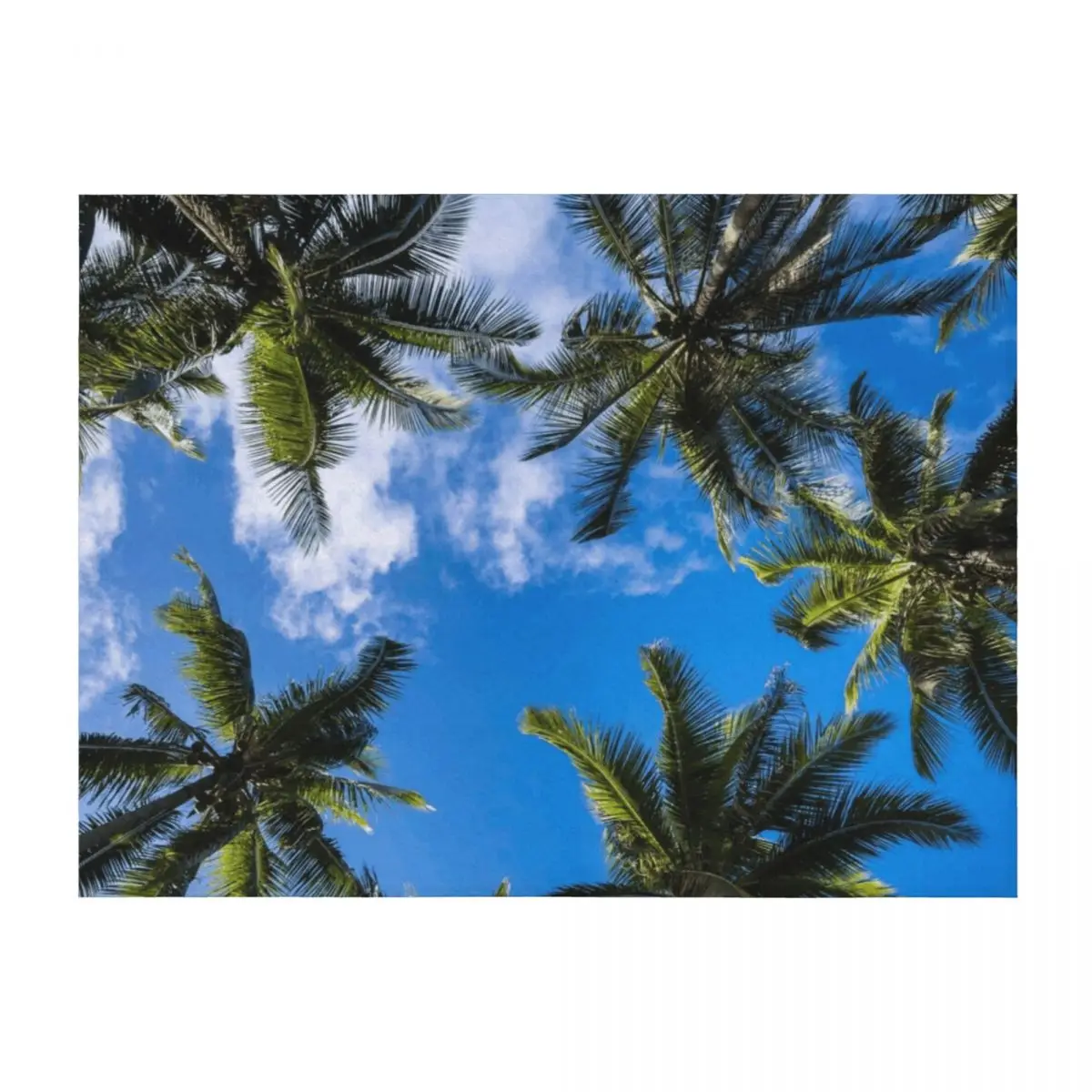 

Coconut Tree Throw Blanket Bed Fashionable Luxury Throw Single Large Blankets