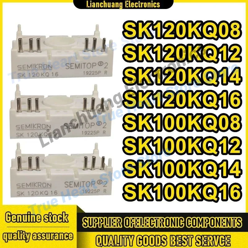 SK120KQ08 SK120KQ12 SK120KQ14 SK120KQ16 SK100KQ08 SK100KQ12 SK100KQ14 SK100KQ16 Nuevo Original en stock