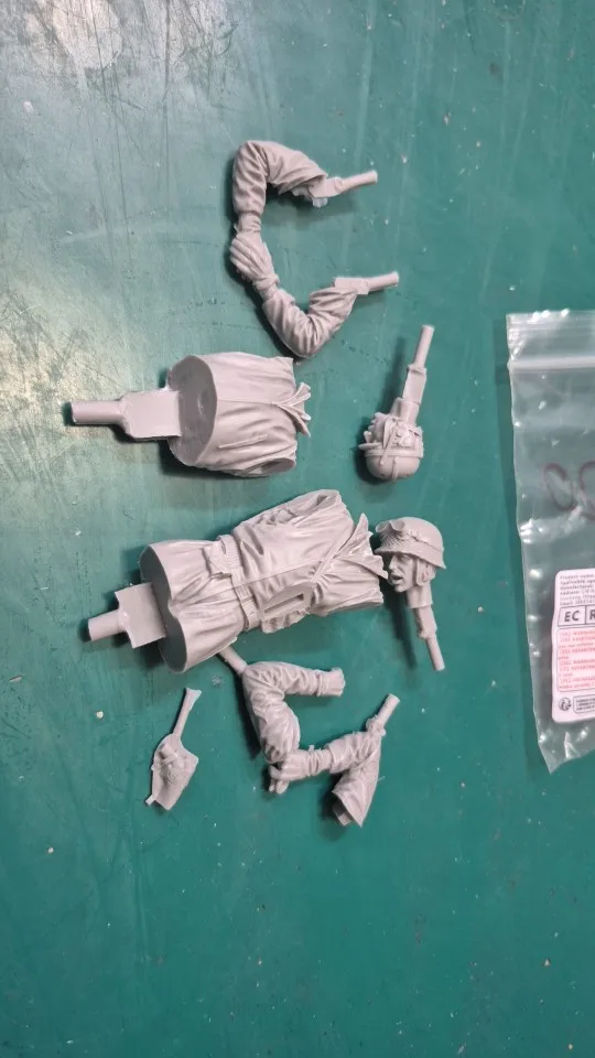 Buyer photo of this resin kit
