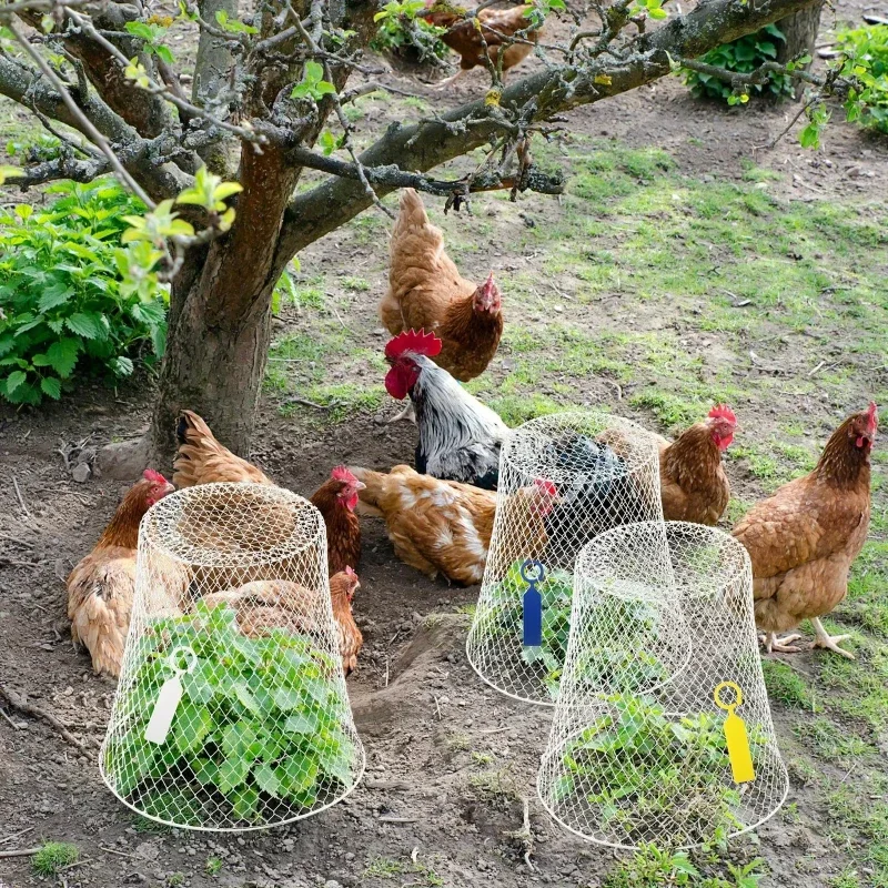 

4-Pack Durable Metal Bird Repellent Cages Portable Garden Protection for Flowers And Vegetables Ideal for Summer Gardening