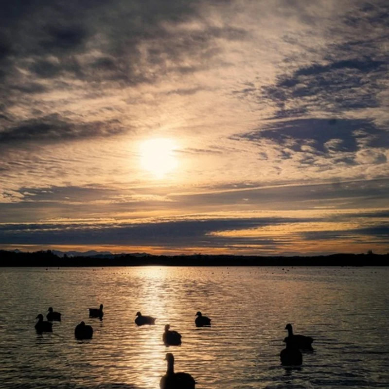 2 шт./4 шт. 130 мм 2,2 дюйма, резиновые шины для 1:10 RC Rock Crawler Trxs Trx4 Axial SCX10 90047 D90 D110 TF2 RR10 Wraith 2 шт./4 шт. 130 мм 2,2 дюйма, резиновые шины для 1:10 RC Rock Crawler Trxs Trx4 Axial SCX10 90047 D90 D110 TF2 RR10 Wraith