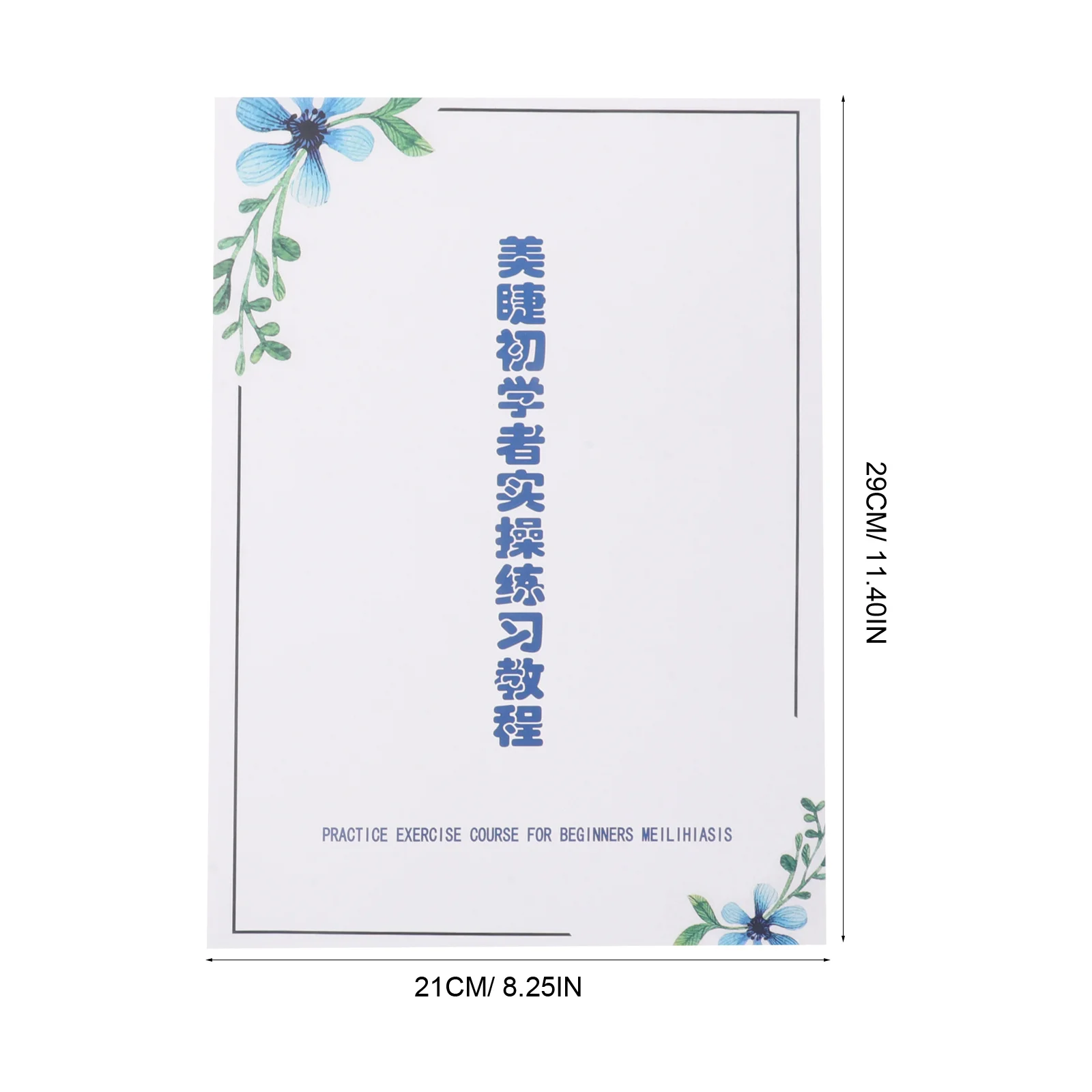 속눈썹 매핑 눈 위치 지도 속눈썹 연장 연습 키트 초보자 교육 가이드 속눈썹 연장 연습 차트