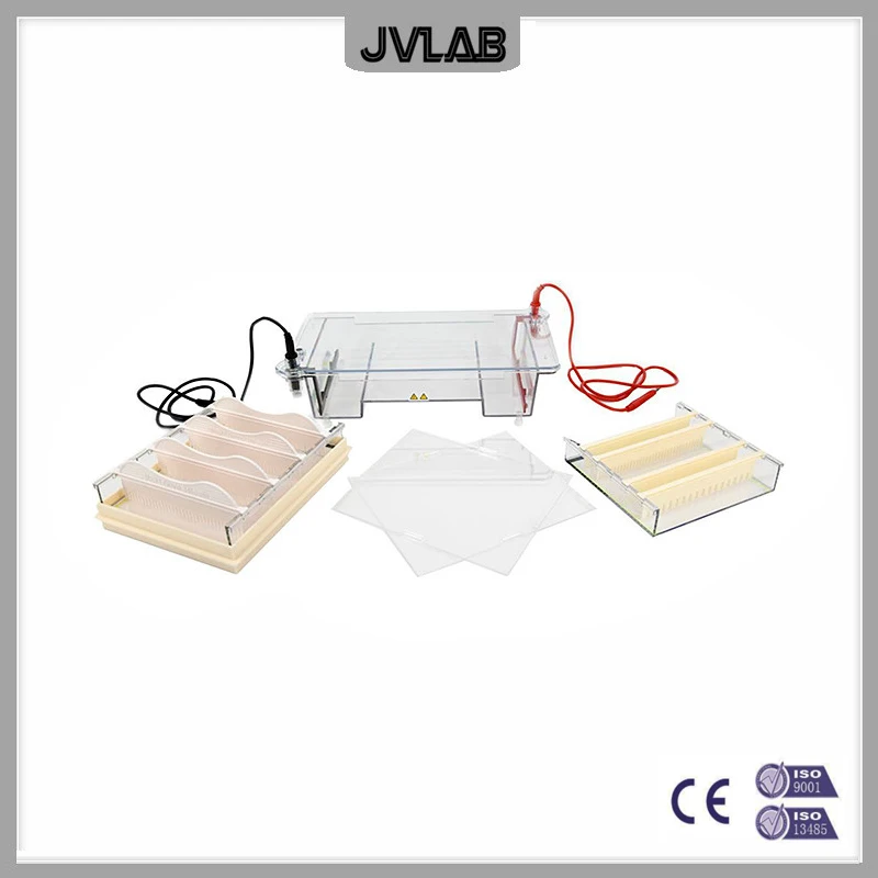 

Nucleic Acid Horizontal Electrophoresis Cell Middle Agarose Electrophoresis Apparatus DYCP-31E For DNA Prepare Separate Identify