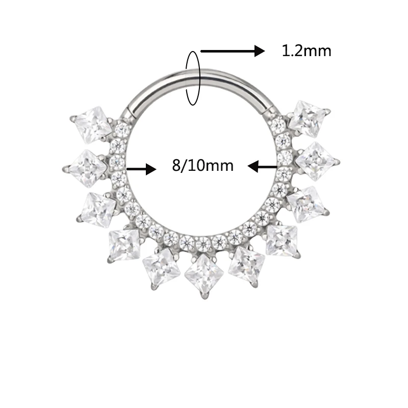 ASTM F-136 Titanium EAR Nose Ring PIERC CZ Surround Segment Ring  Hoop Face Hinged Clicker Labret Ear wheel Cartilage Piercing