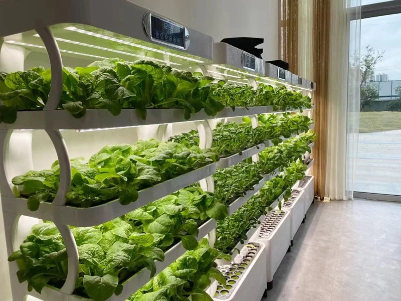 الدفيئة نظام الزراعة المائية الكامل داخلي حار بيع حديقة زارع الذكية Led تنمو ضوء ميكروغرين وعمودي #4