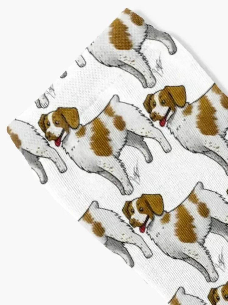 Brittany Socks floor christmas gifts sport shoes Male Socks Women's