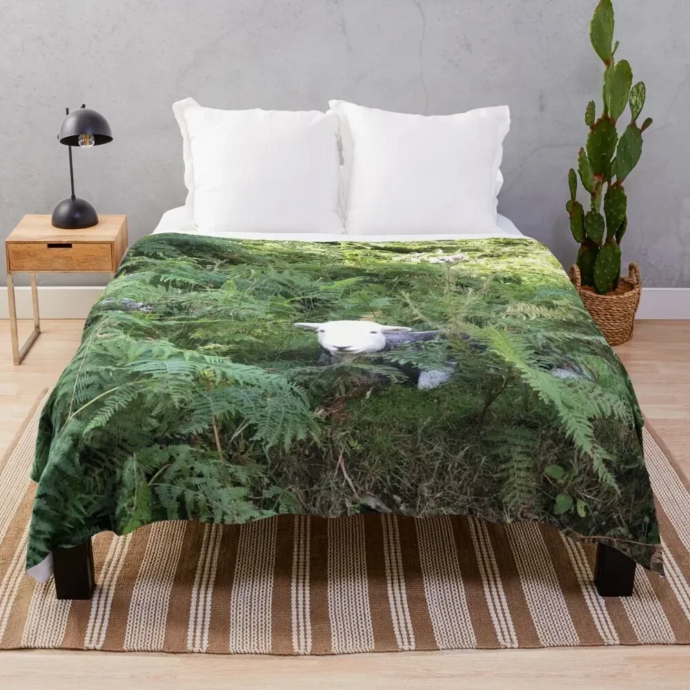 

Herdy sheep in the ferns in the lake district Throw Blanket Hair Single Summer Beddings Blankets