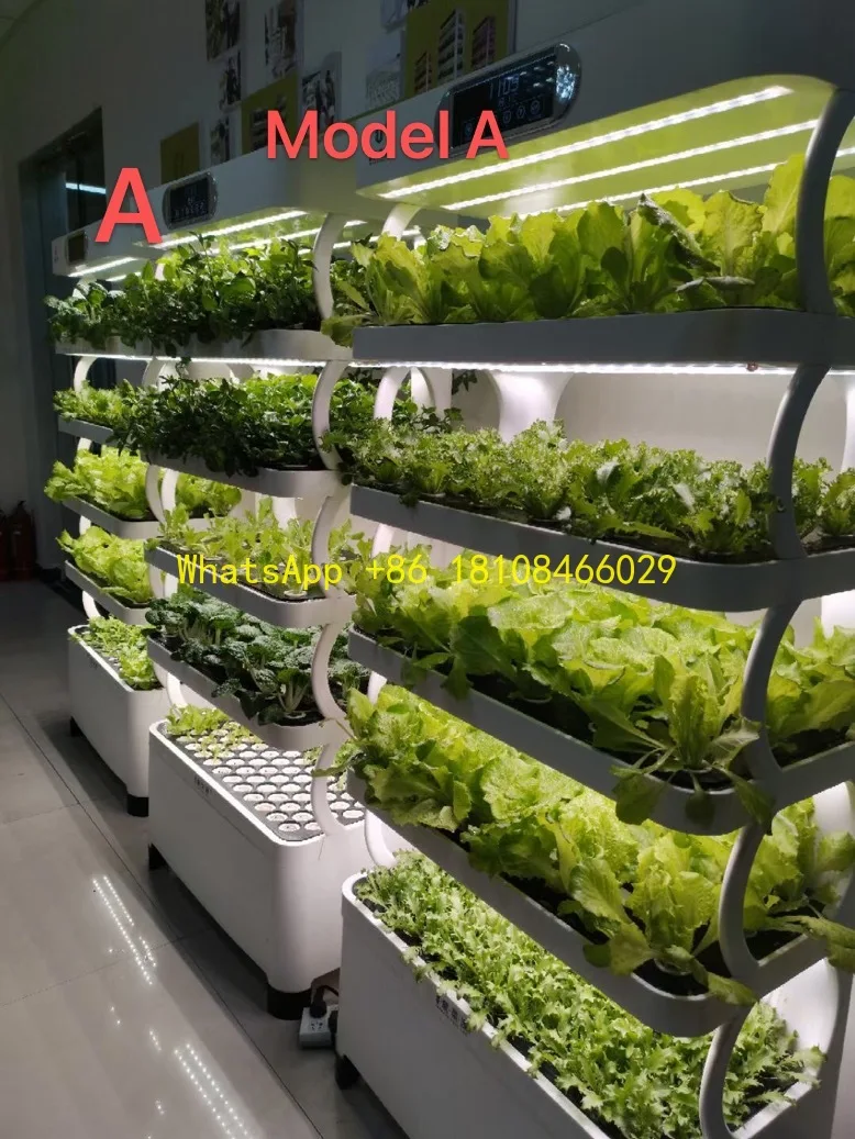 

Greenhouse Use Intelligent Controllable Smart Vegetable Cabinet Lyine Hydroponic Growing System