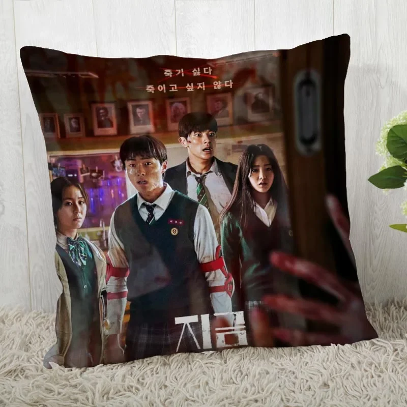 

TV KPOP All of Us Are Dead Pillow Cover Customize Pillowcase Modern Home Decorative Pillow Case For Living Room 04.01