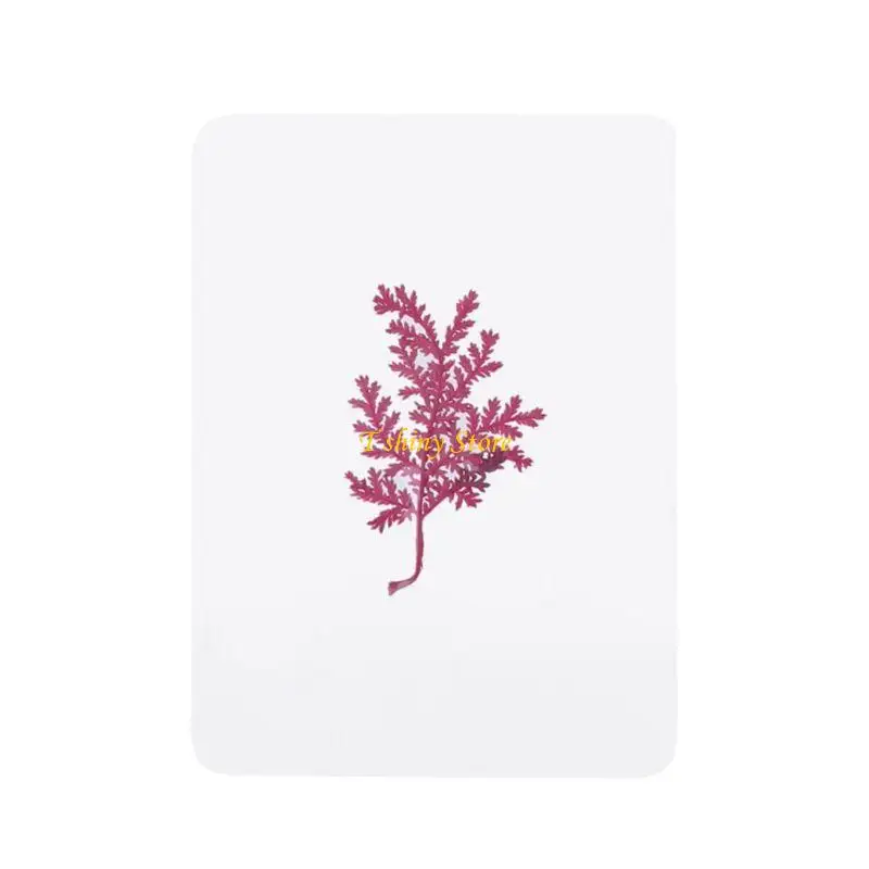 N58F Natural Dried Flowers and Leaves Plant Fillers for Resin Jewelry Pendant Bracelet Scrapbooking DIY Arts Cards