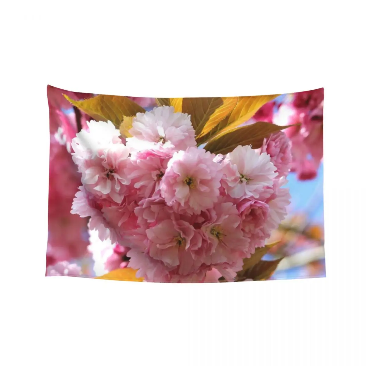 

Pink Cherry Blossom Tapestry Home Decorations House Decorations Outdoor Decor Tapestry