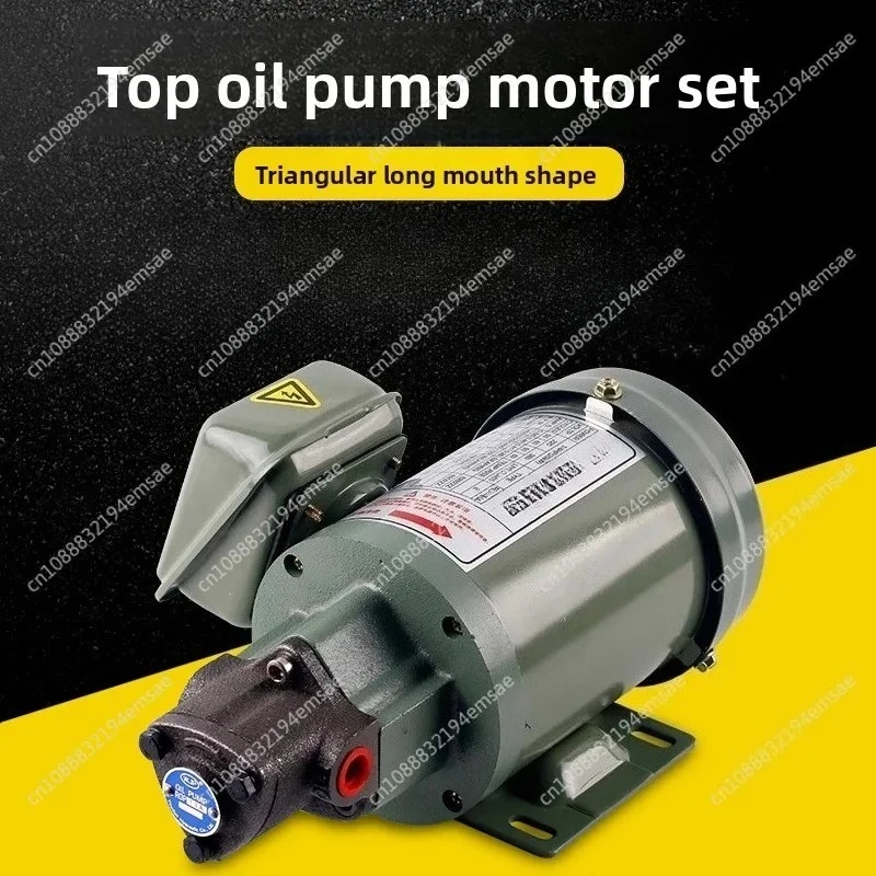 

380/220V Top-10A/11A/12A/13A Cycloid Pump Triangular Lubricating Oil Pump Head Motor Oil Gear Triangle Lubrication Pump