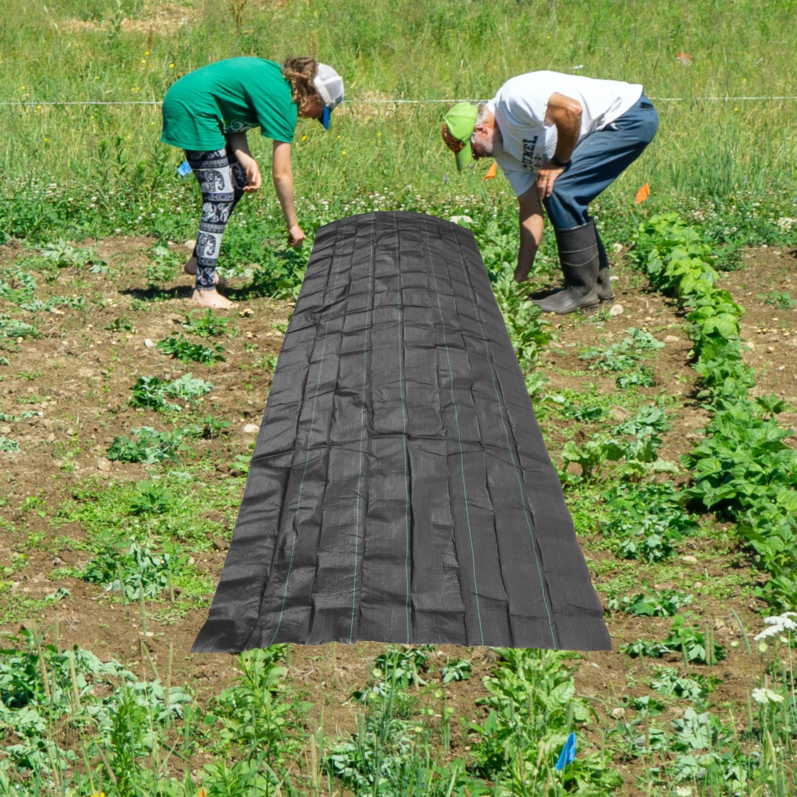 

Plastic Fabric Durable Excellent Long Service Life Good Air Permeability Fruit Tree Orchard Garden Moisture
