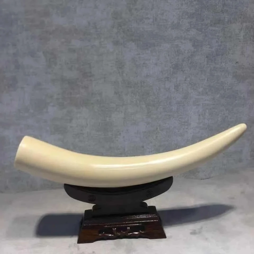 Genuine Mammoth Ivory Base Dental Decoration High-End Decoration Living Room Porch Housewarming Decoration Gift