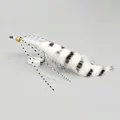 White-2pcs