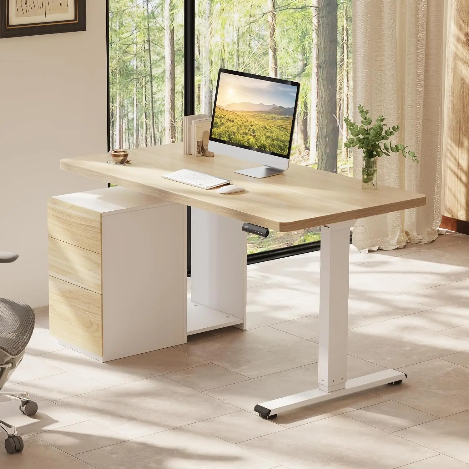 Standing Desk Electric Adjustable Height w/ Drawers Dual Motor 55