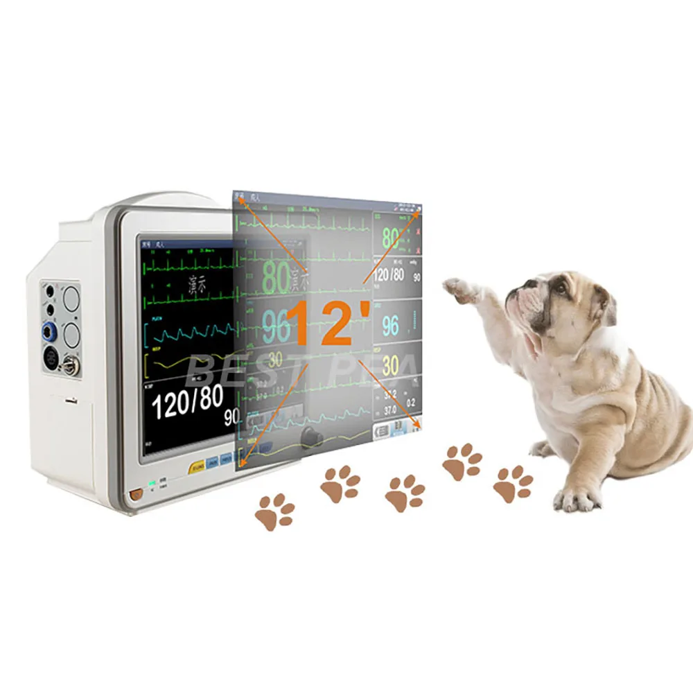 ICEN High Quality Portable Monitor Veterinary For Pets Use Multi-parameter Monitor With Ekg