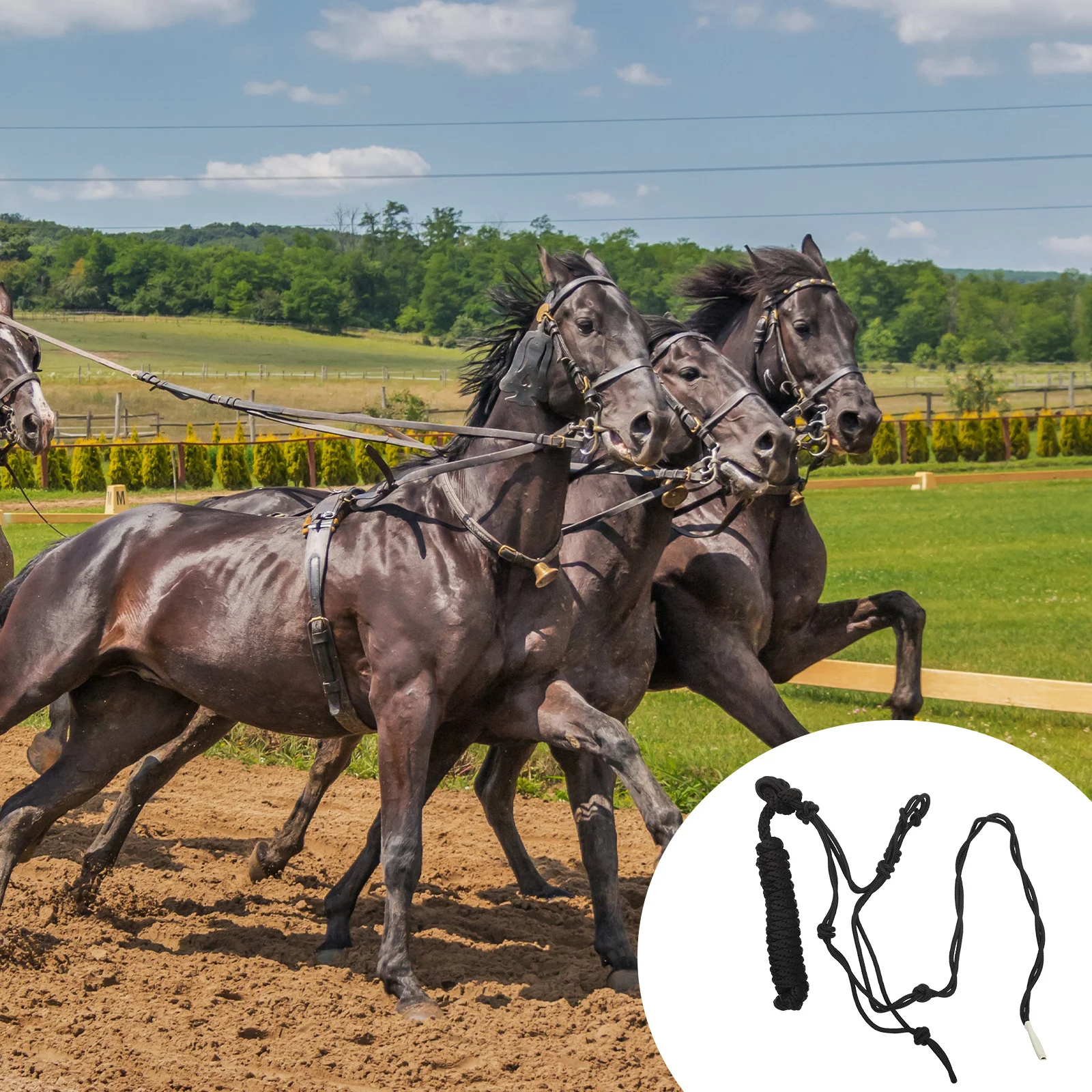 رسن الحصان، مادة متينة مقاومة للاهتراء، مستلزمات التدريب المريحة، معدات الحصان المحمولة #4