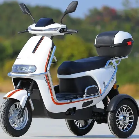 800W Electric Adult Tricycle with Passenger Tricycle 60V 3 Wheel Motorcycle