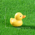 10pcs Duck