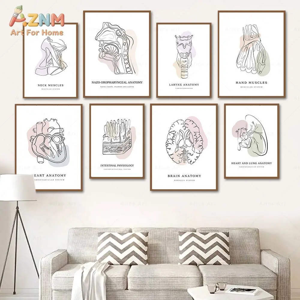 AZNM Human Body Anatomy Canvas Wall Art Line Art Medical Organ Physiology Educational Print Frameless Canvas Painting Clinic Doc