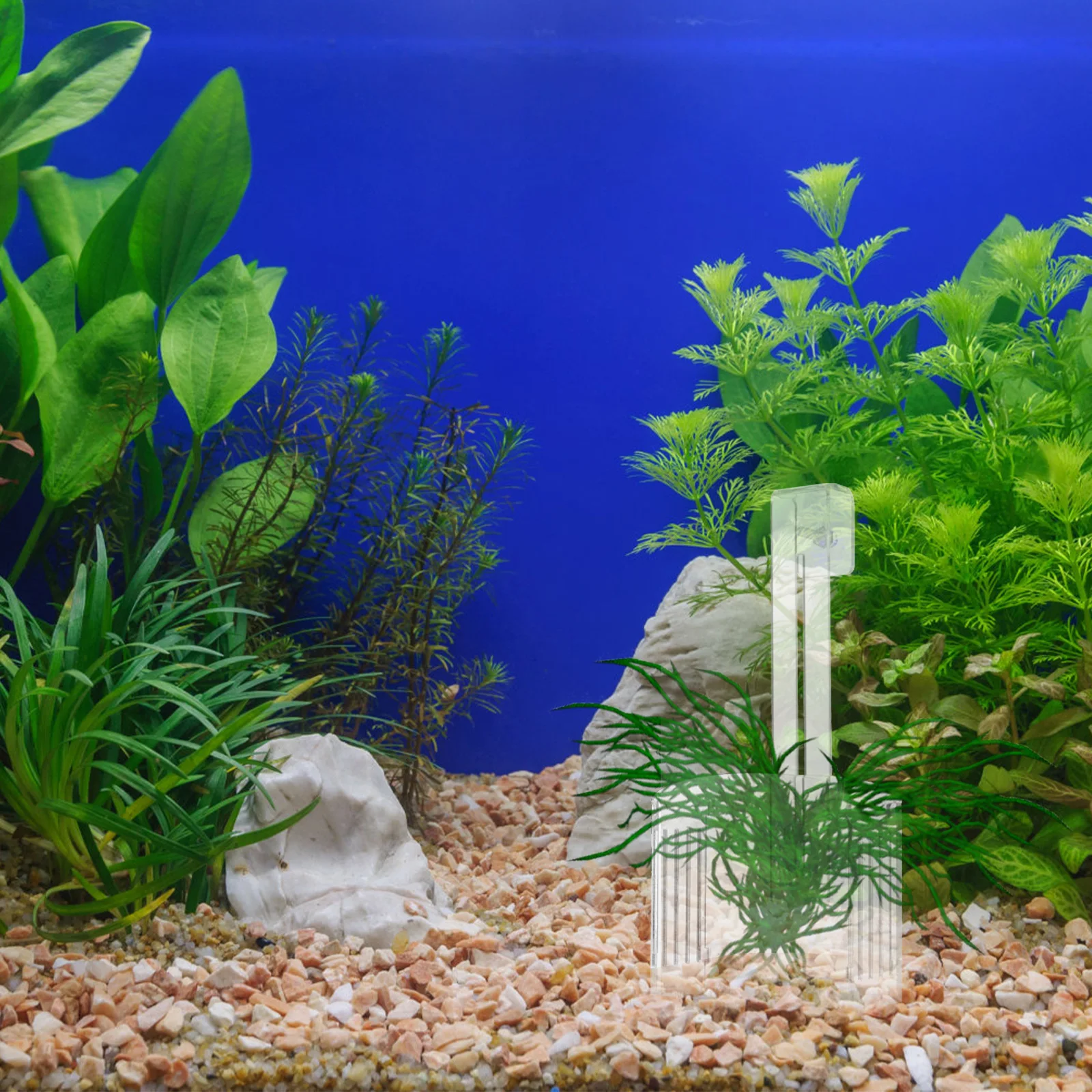 

Hanging Aquatic Plant Holder Fish Tank Acrylic Water Plant Cup Coral Rack Aquarium Plants Glass Pot With Hook Durable Clear