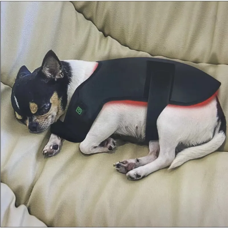 2025 New Dog/Cat Back Red Light Therapy Package for Pain Relief