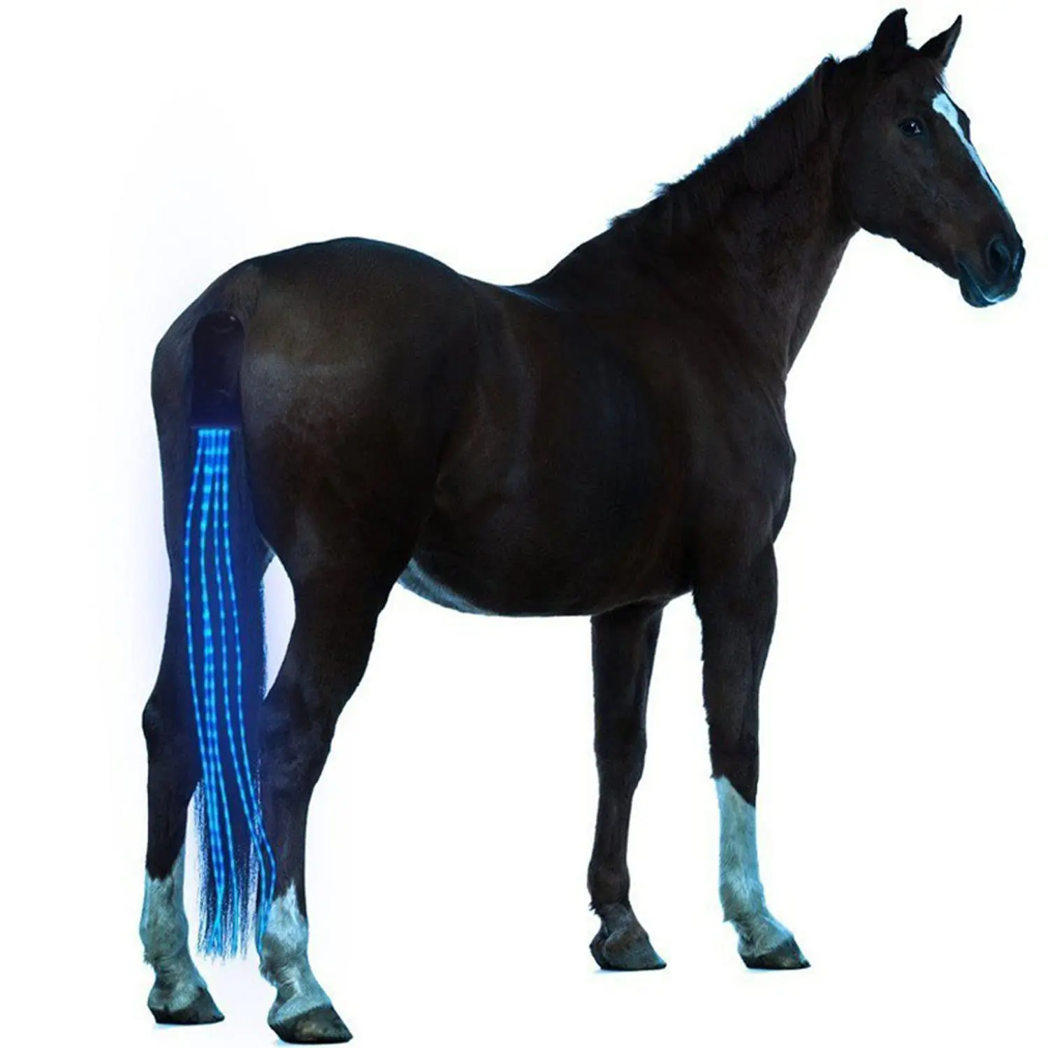 LED Equine Tail Light Strip - USB Rechargeable Decorative Safety Light for Nighttime Use Illuminated Horse Tail Wrap