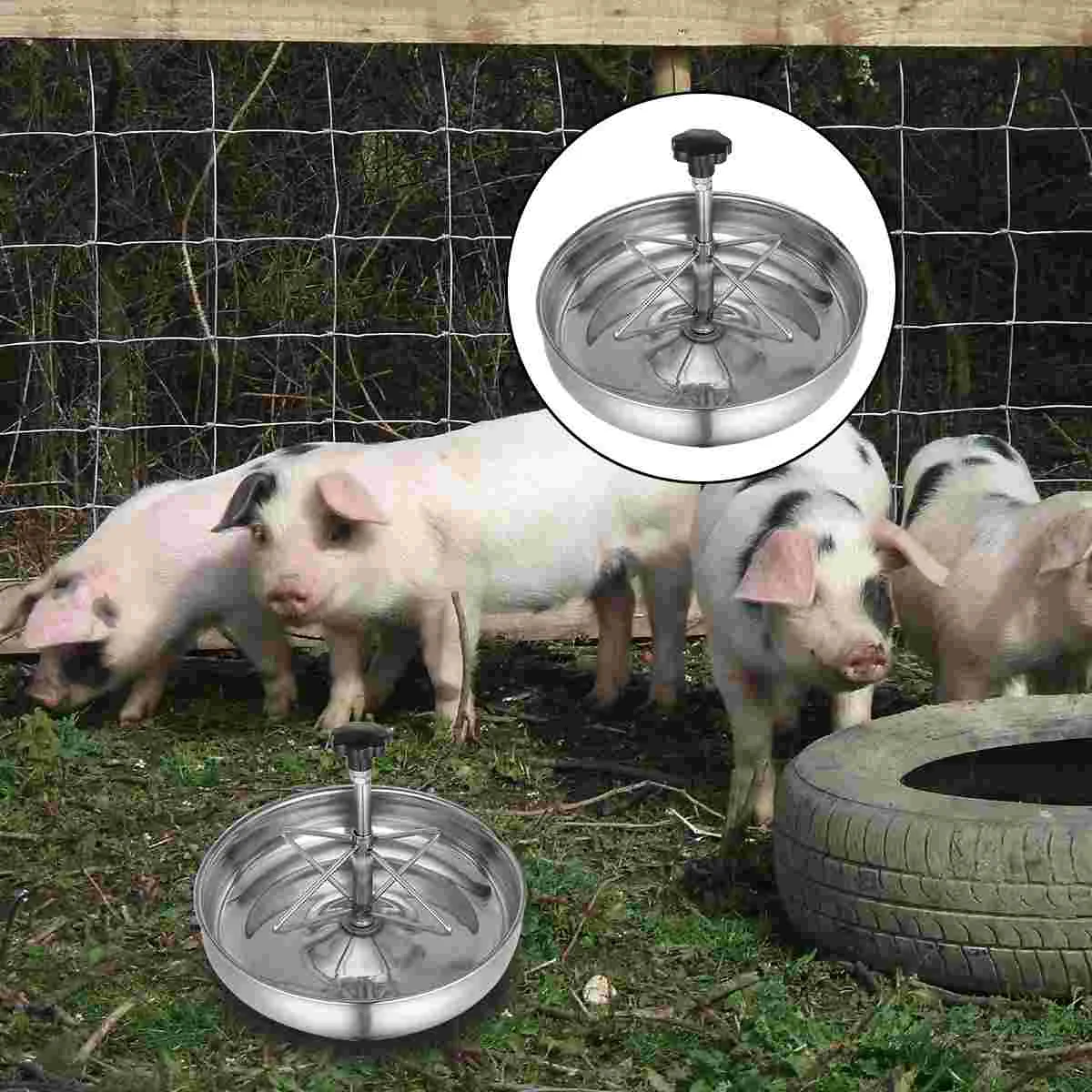 

Pig Trough Stainless Steel Feeding Bowl Thicken Silver Livestock Feeder Troughs